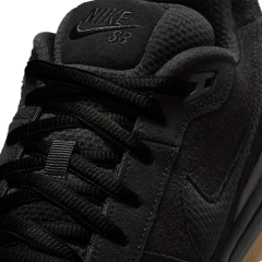 Nıke SB Paul Rodriguez Zoom Air Low Pro Günlük Ayakkabı-Shoes
