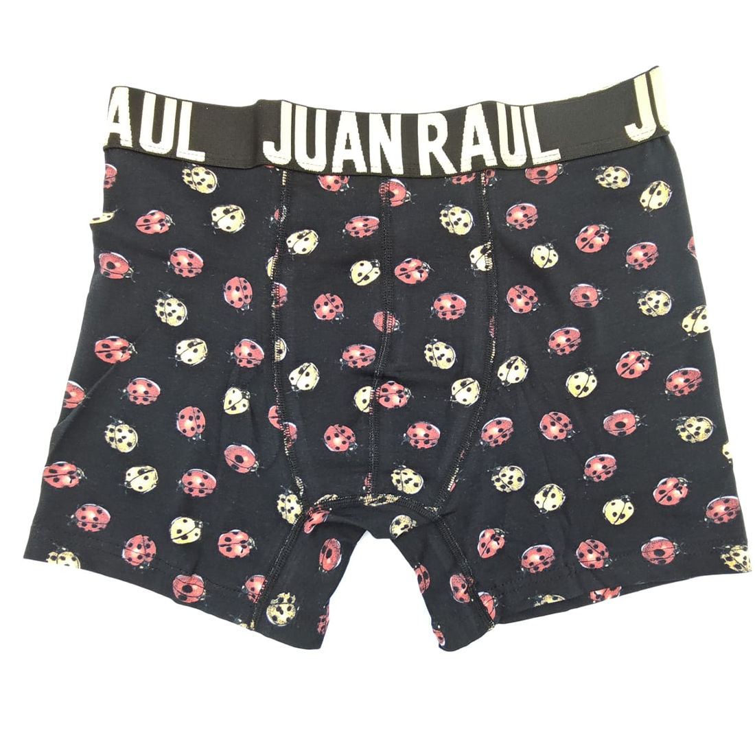 Juan Raul Erkek Boxer Uğur Böceği  Desenli