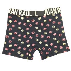 Juan Raul Erkek Boxer Uğur Böceği  Desenli