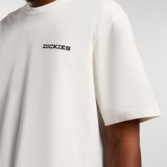 Dickies Landascape Ss Tee T-Shirt-Bej