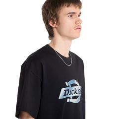 Dickies Rarden Shortsleeve T-Shirt Siyah